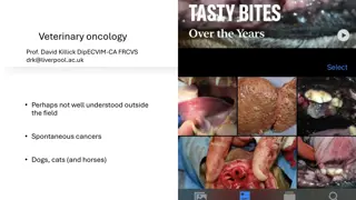 Advances in Veterinary Oncology: Understanding and Treating Spontaneous Cancers in Animals