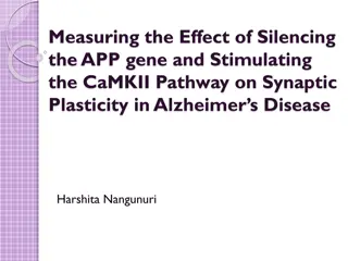 Investigating the Impact of Silencing the APP Gene and Stimulating the CaMKII Pathway on Synaptic Plasticity in Alzheimer's Disease