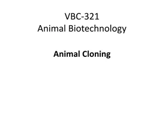 Applications of Transgenic Animals in Biotechnology and Cloning