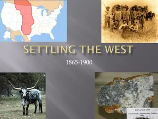 Expansion and Innovation: Mining, Ranching, and Settlement in the American West (1865-1900)