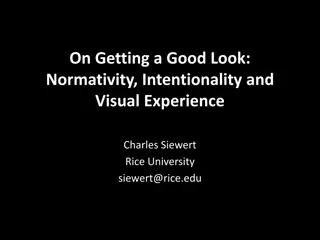 Exploring Normativity and Visual Experience in Consciousness Philosophy