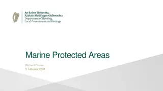 Marine Protected Areas: Importance and Coverage in the Northeast Atlantic