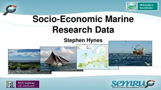 Ireland's Marine Economy Research & Data Analysis