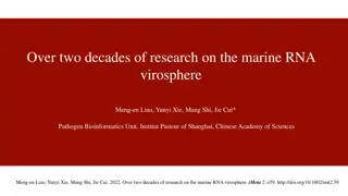 Decades of Marine RNA Virosphere Research