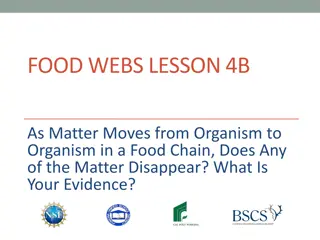 Exploring Food Chains: Does Matter Disappear Along the Way?