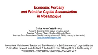 Economic Porosity and Primitive Capital Accumulation in Mozambique