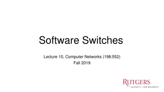 Software Switches in Computer Networks