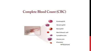 Complete Blood Count (CBC) Test