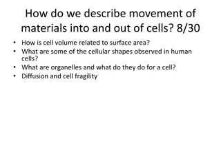 Cellular Transport and Concentration in Biology