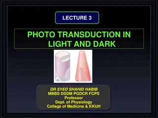 Phototransduction in Vision: Rods, Cones, and Light Adaptation