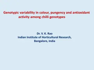 Genotypic Variability in Chilli: Colour, Pungency, and Antioxidant Activity