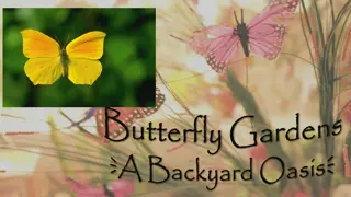 Explore the Beauty of Butterfly Gardens in Your Backyard Oasis