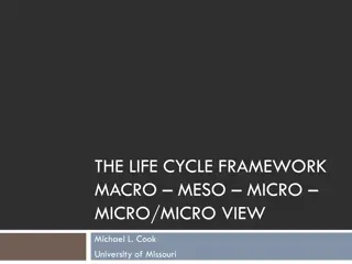 Understanding the Life Cycle Framework in Cooperative Management