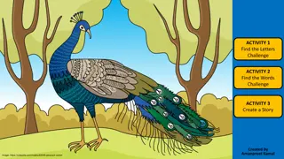 Enchanting Peacock Activities and Story Challenge