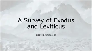 Insights into Israel's Experience and the Golden Calf Incident in Exodus