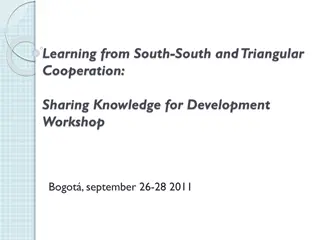 South-South & Triangular Cooperation Workshop 2011 in Bogota