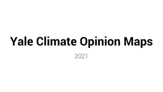 Insights from Yale Climate Opinion Maps 2021