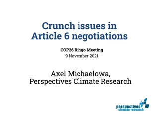 Key Issues in Article 6 Negotiations at COP26 Ringo Meeting - Perspectives by Axel Michaelowa