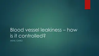 Blood Vessel Leakiness Control Mechanisms