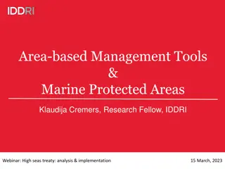 Process Under the BBNJ Treaty for Marine Protected Areas