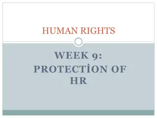 Overview of Human Rights Monitoring Mechanisms