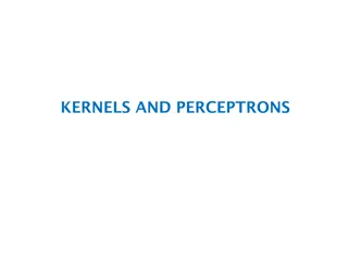 Understanding Kernels and Perceptrons: A Comprehensive Overview