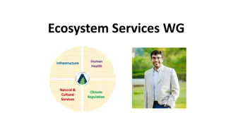 Enhancing Ecosystem Services Through ABoVE Science Team Projects