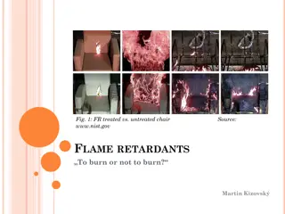 Understanding Flame Retardants: Risks, Overview, and Conclusion