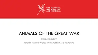 Animals of the Great War - Heroes and Helpers