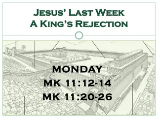 Reflections on Jesus' Last Week: Lessons from the Rejected Fig Tree