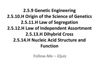 Genetic Engineering and Genetic Variation