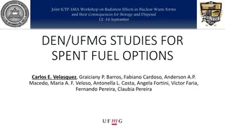 Advancements in Nuclear Energy Research and Technology at UFMG