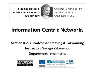 Evolved Addressing and Forwarding in Information-Centric Networks