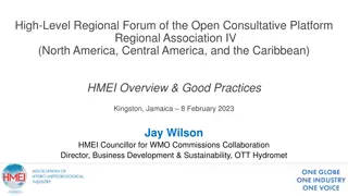 High-Level Regional Forum of the Open Consultative Platform in Kingston, Jamaica