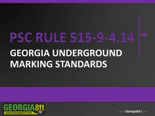 Georgia Underground Marking Standards and Guidelines