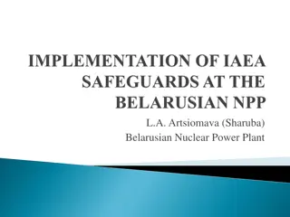 Nuclear Safeguards and Control at Belarusian NPP