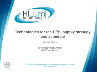 Technologies for DFH Supply Strategy and Schedule at CERN Collaboration Project