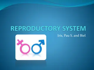 The Male and Female Reproductive Systems