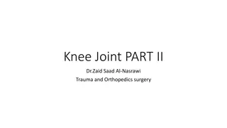 The Menisci of the Knee Joint