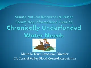 Central Valley Flood Control Association - Addressing Flood Challenges in California