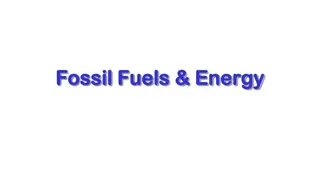 Understanding Fossil Fuels, Energy, and the Carbon Cycle