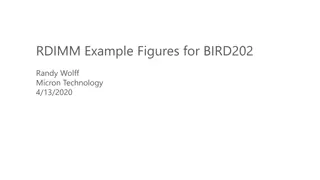 RDIMM Example Figures for BIRD202 by Randy Wolff at Micron Technology