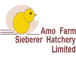 Innovative Poultry Solutions at AMO FARM SIEBERER HATCHERY LTD