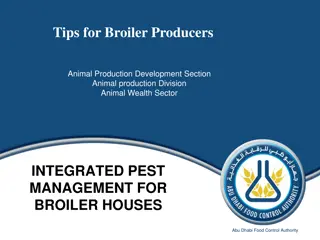 Integrated Pest Management and the Use of Probiotics in Broiler Production