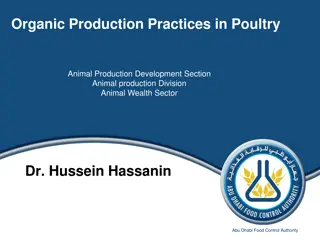 Organic Poultry Production Practices Overview