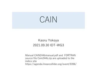 Overview of CAIN Particle Tracking Code for High-Energy Colliders