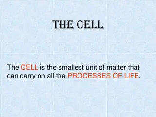 Exploring the Fascinating World of Cells and Organelles