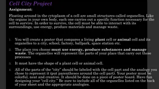 Cell City Project: Explore the Intriguing World of Cell Organelles through Creative Analogy