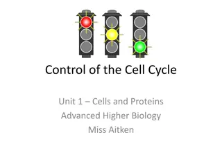 Cell Cycle Control in Biology