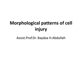 Morphological Patterns of Cell Injury and Degeneration